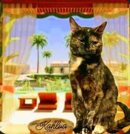 Kahlua image 1
