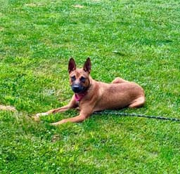 Nyla image 1