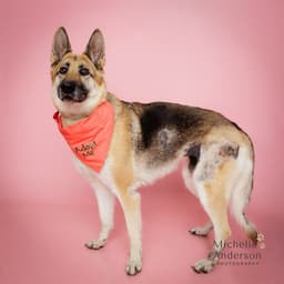 Junie image 1