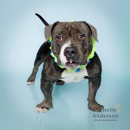 Unknown image 1
