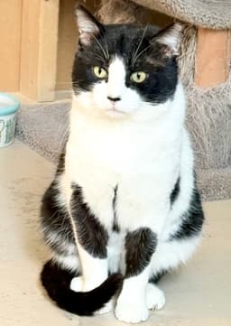 Bubba image 4
