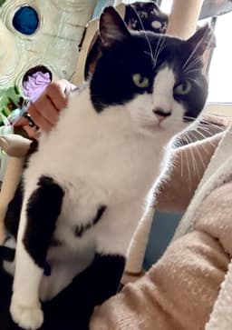 Bubba image 2