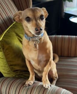Jack image 3