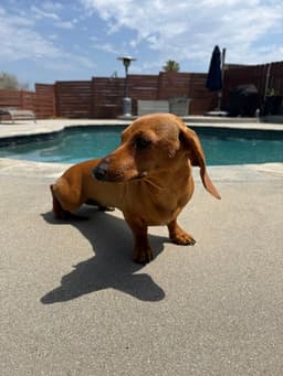 Maddie image 2