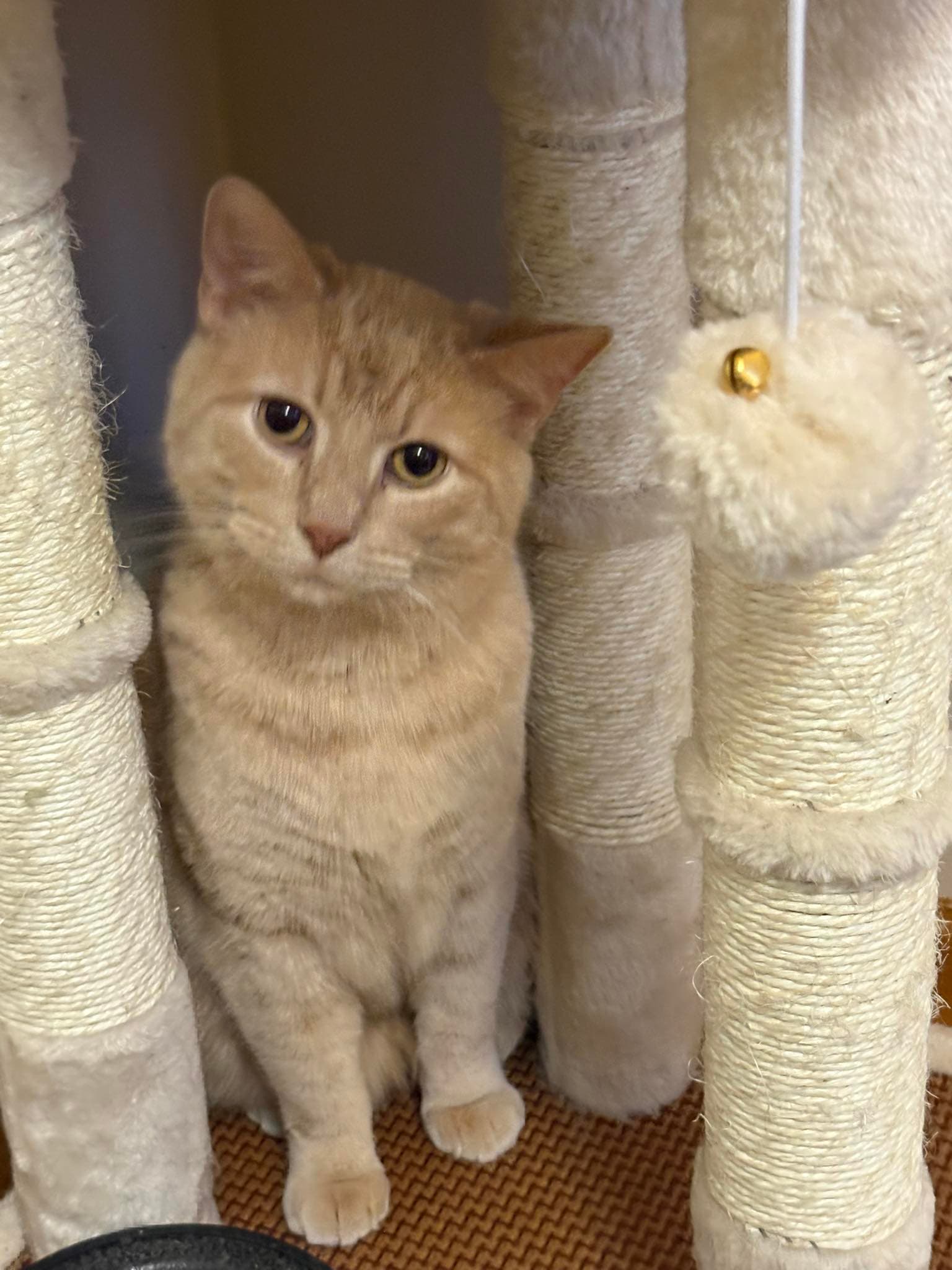 Sam