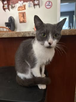 Mia image 2
