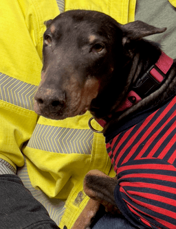 Nellie image 2