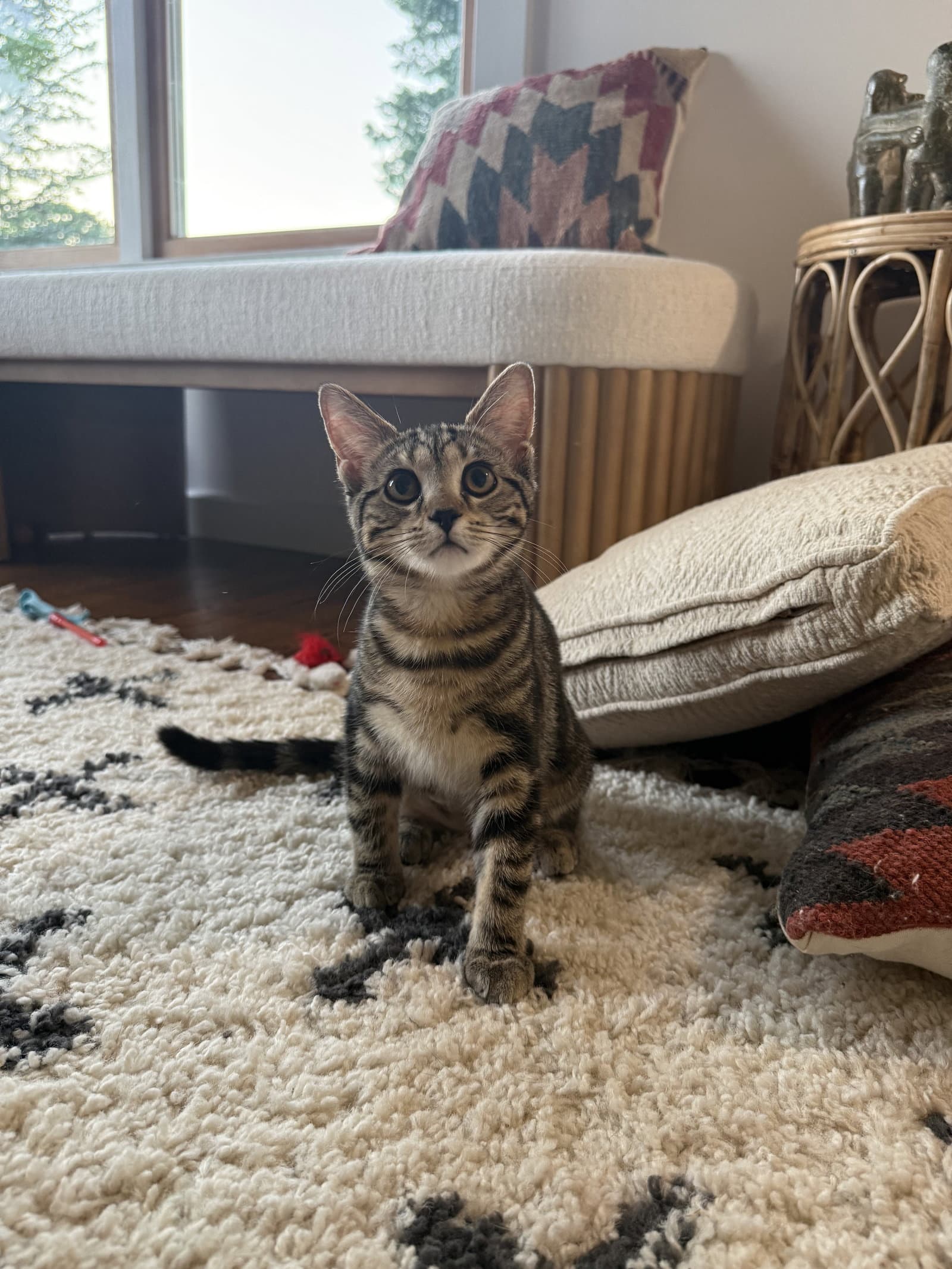 Nala