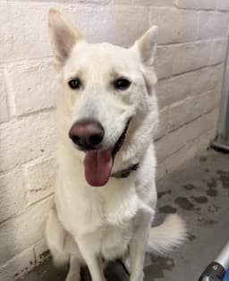 Casper image 1