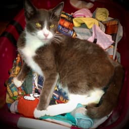 Mateo image 3