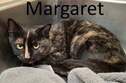 Margaret image 2
