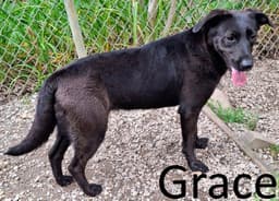 Grace image 2