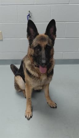 Kim image 1