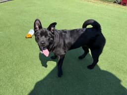 Osita image 3