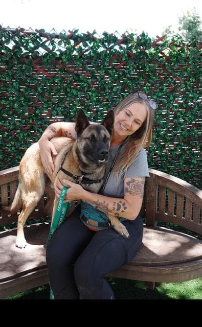 Tyrone - Belgian Shepherd Malinois