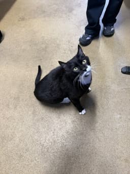 Unknown image 1