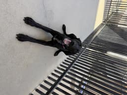 Darcie image 1