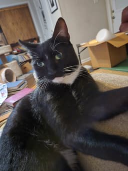 Charlie image 1