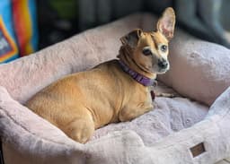 Lily Nason Nj image 1