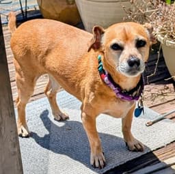 Lily Nason Nj image 3