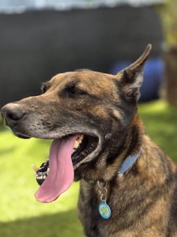 Max image 2