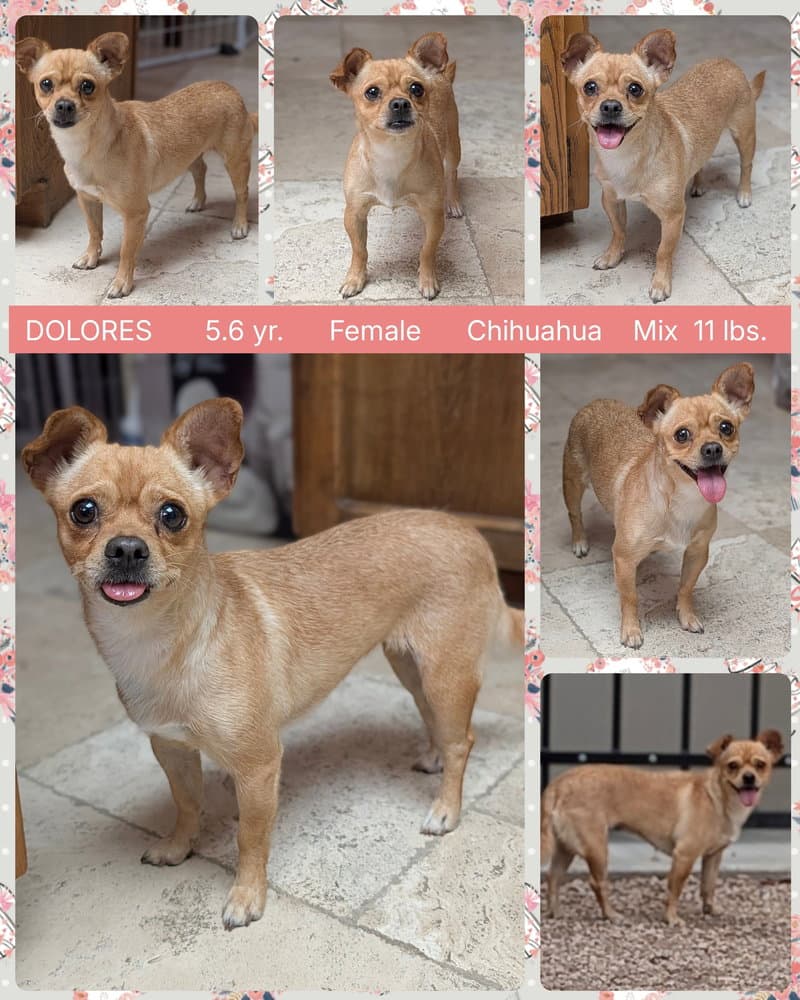 Dolores - Chihuahua