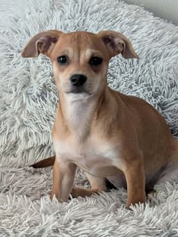 Esther image 1