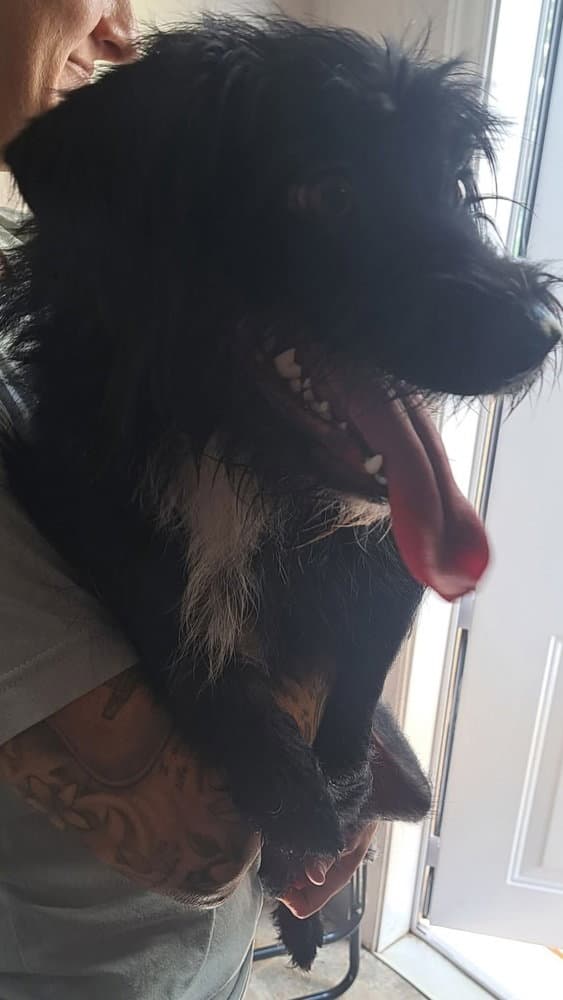 Moxie