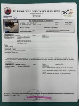 Tot image 1