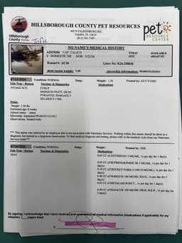 Tofu image 1