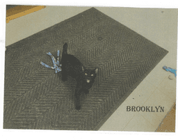 Brooklyn image 1
