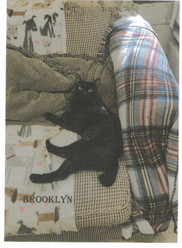 Brooklyn image 2