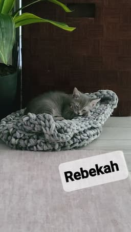 Rebekah image 2