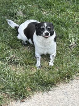 Bella image 3