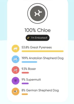 Chloe image 2