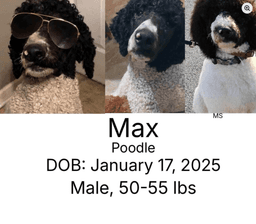 Max image 1