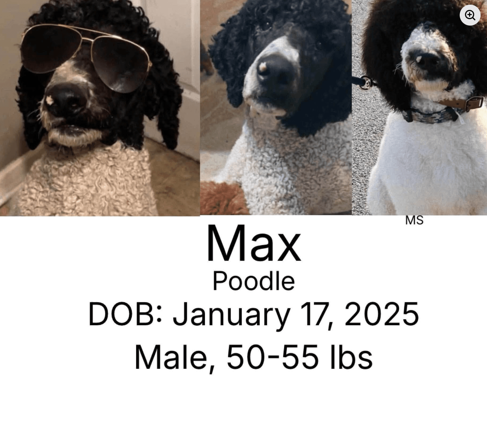 Max