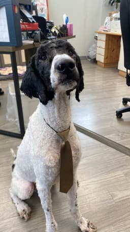 Max image 4