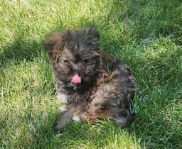 Louann image 3