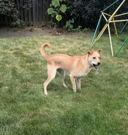 Maggie image 2