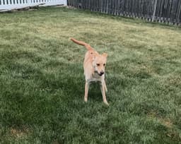 Maggie image 3