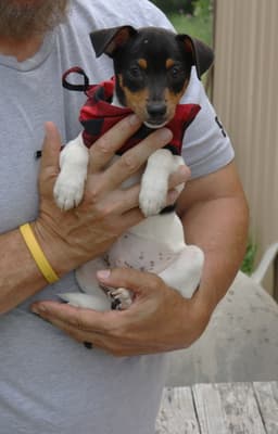 Tucker image 3