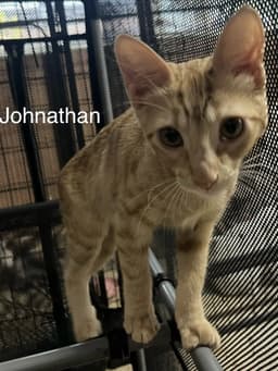 Johnathan image 1