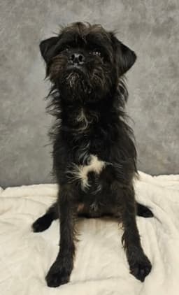 Colefoster Or Foster To Adopt Needed image 1