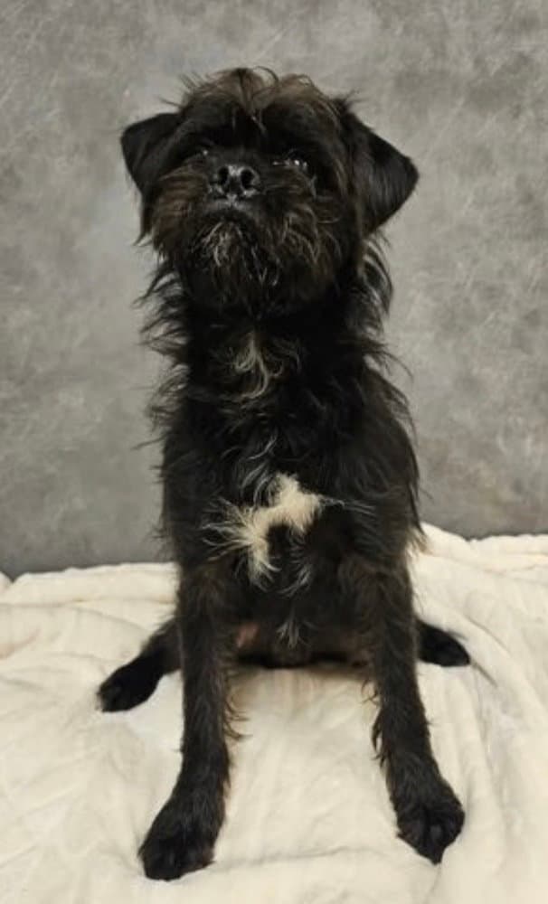 Colefoster Or Foster To Adopt Needed
