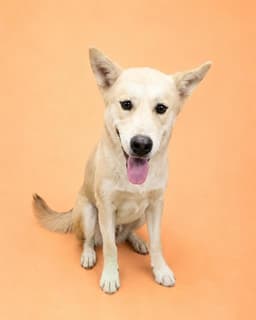 Max image 1