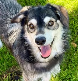 Roxy Mae image 1