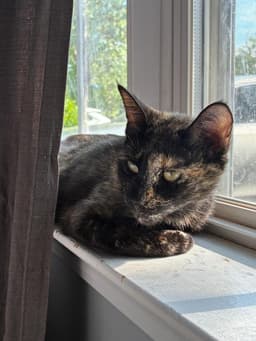 Cleo image 3