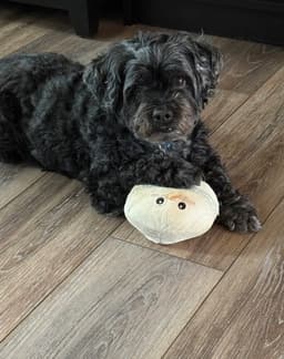 Duffy image 4