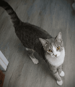 Spanky image 1
